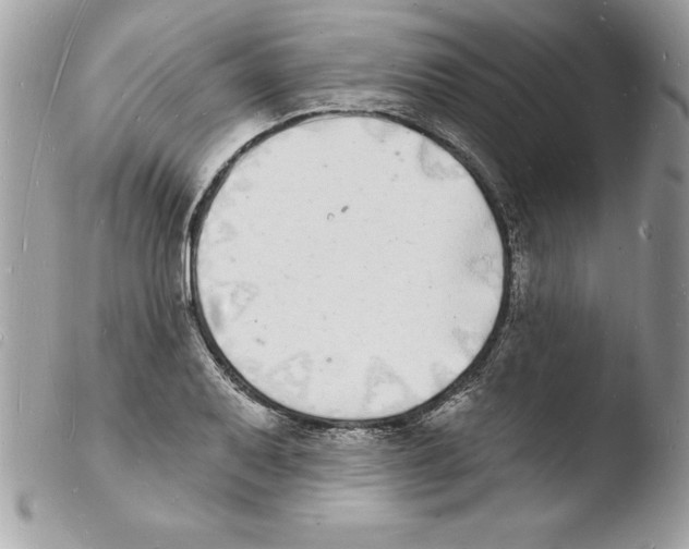 X0000103971079200810171919
