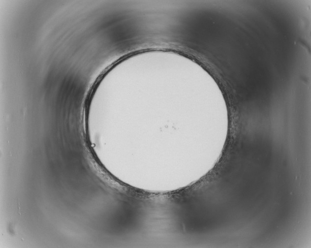 X0000103971080200810171919