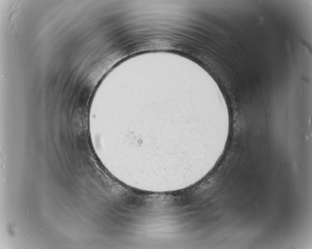 X0000103971081200810171919
