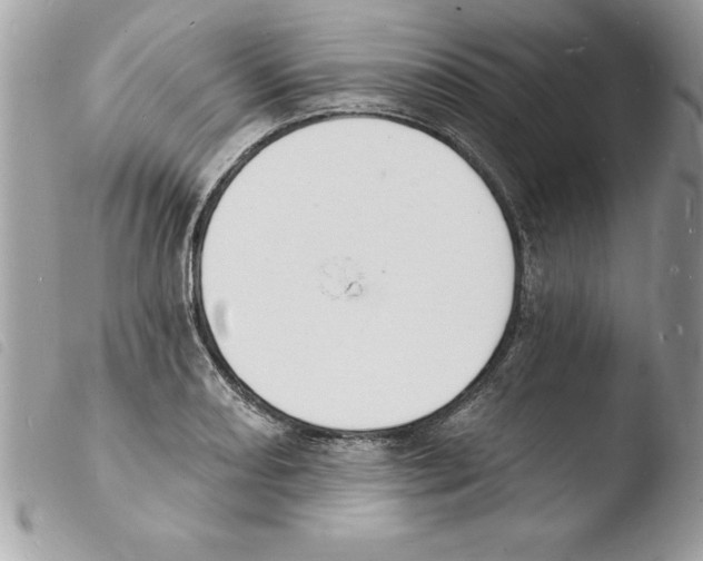 X0000103971082200810171919