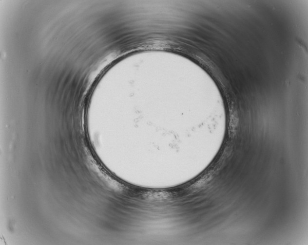 X0000103971083200810171919