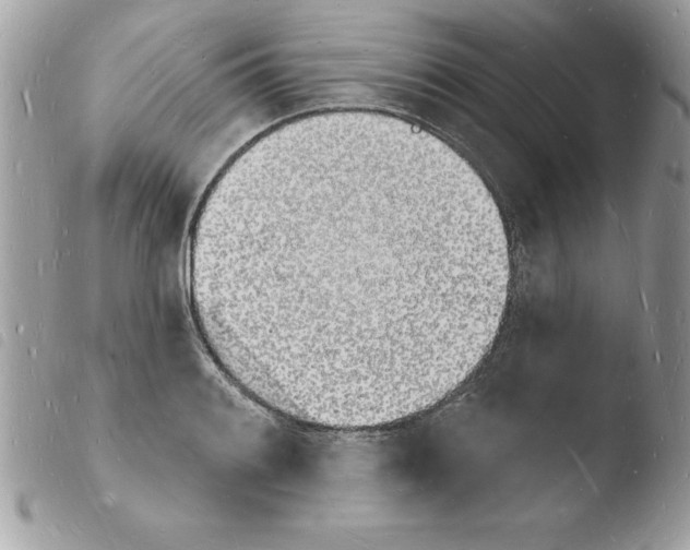 X0000103971084200810171919
