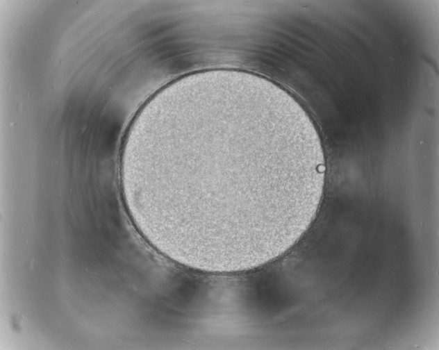 X0000103971088200810171919
