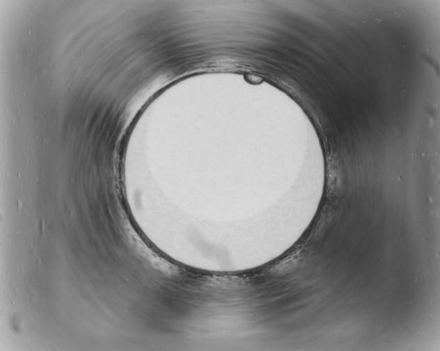 X0000103971091200810171919