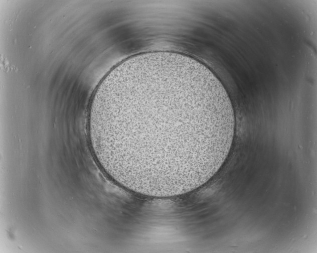 X0000103971094200810171919