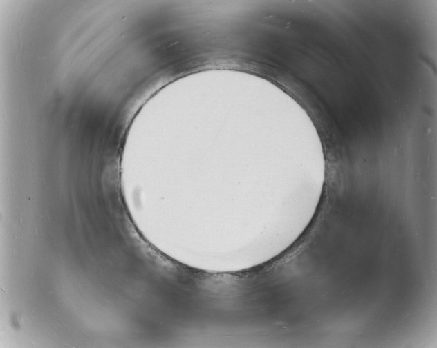 X0000103971100200810171919