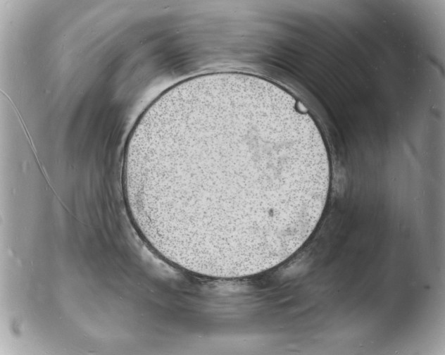 X0000103971102200810171919