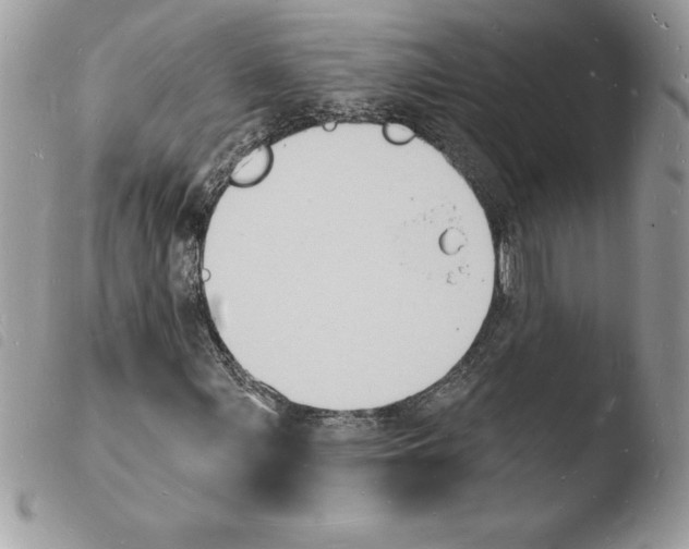X0000103971107200810171918