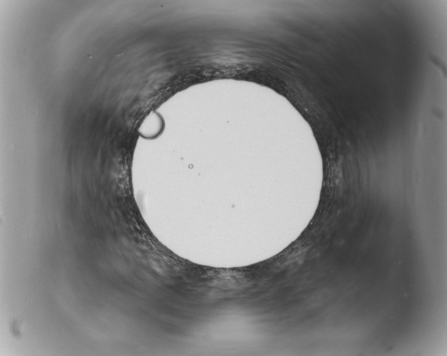 X0000103971109200810171918