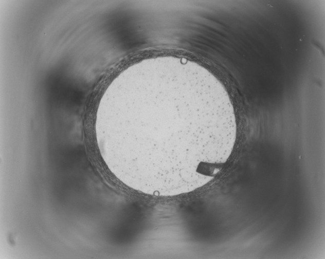 X0000103971110200810171918