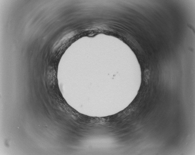 X0000103971111200810171918