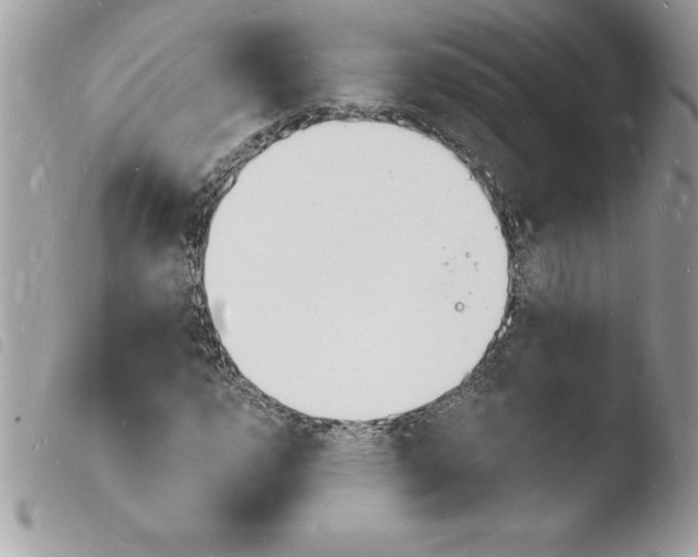 X0000103971112200810171918