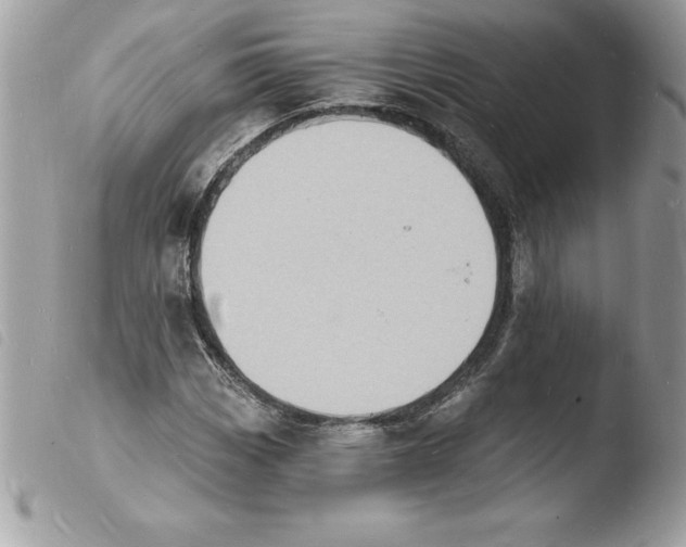 X0000103971113200810171918
