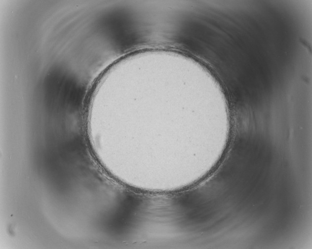 X0000103971114200810171918