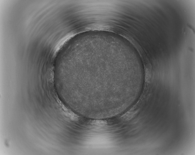 X0000103971115200810171918