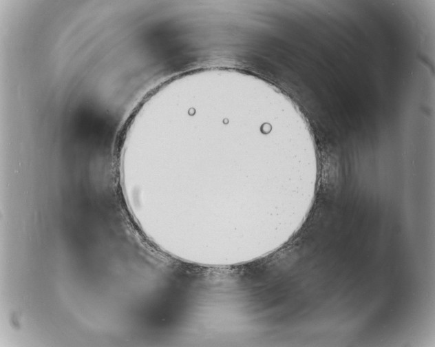 X0000103971116200810171918