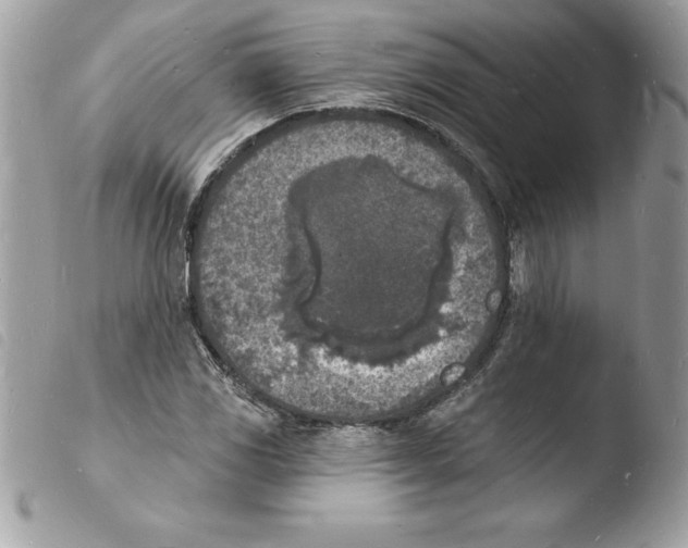 X0000103971117200810171918