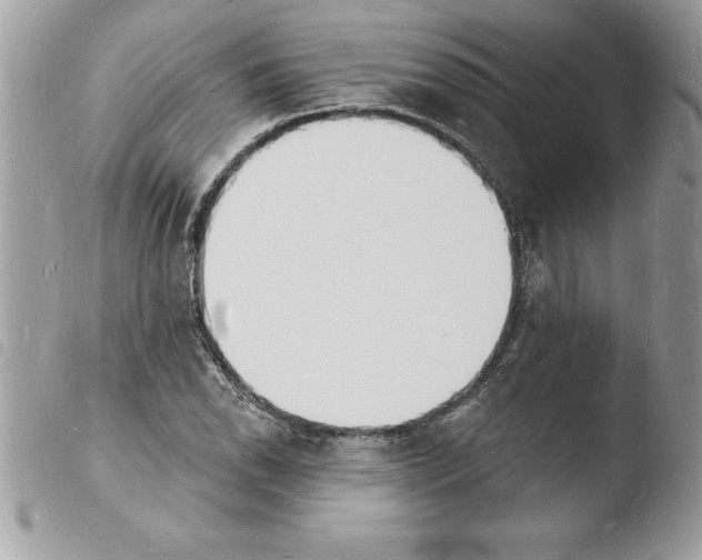 X0000103971118200810171918