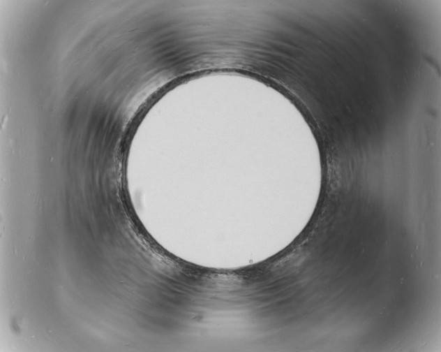 X0000103971119200810171918