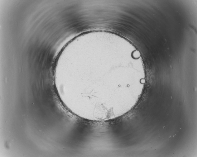 X0000103971120200810171918