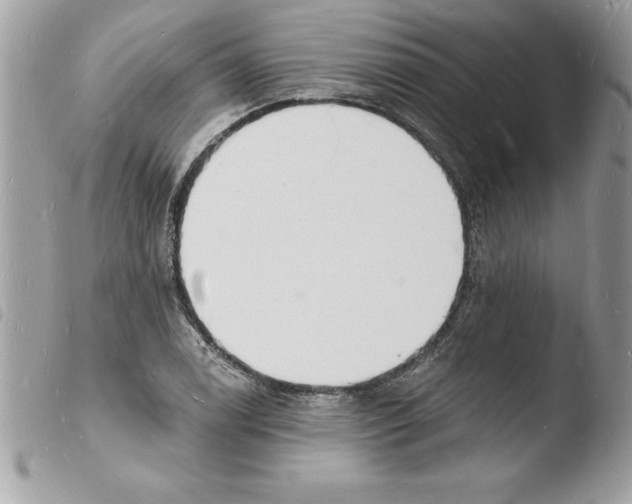 X0000103971122200810171918