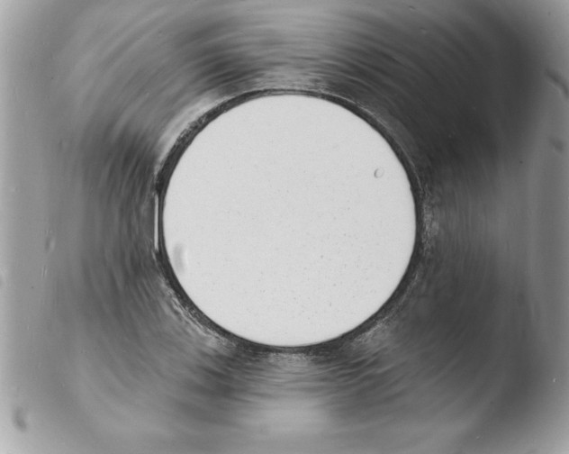 X0000103971123200810171918