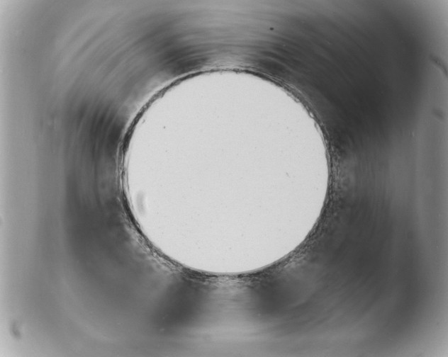 X0000103971124200810171918