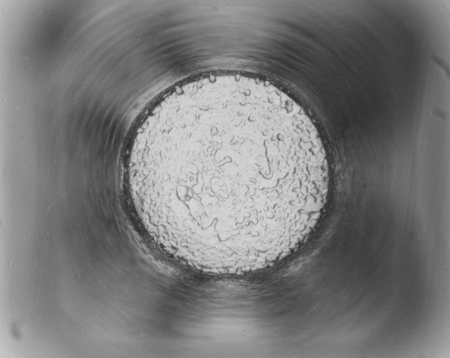 X0000103971125200810171918