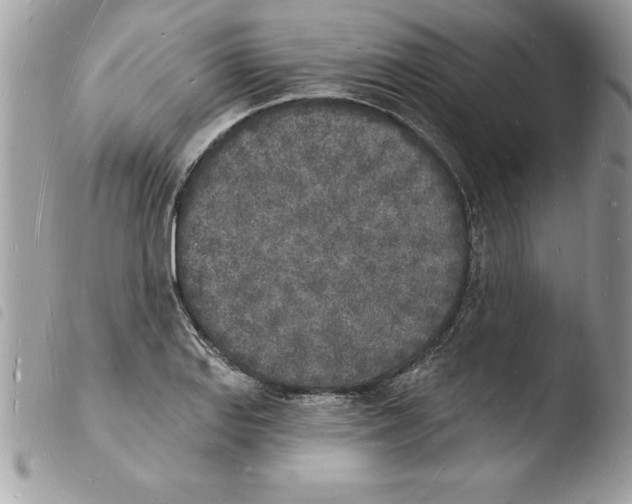X0000103971127200810171918