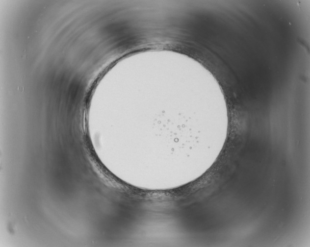 X0000103971128200810171918