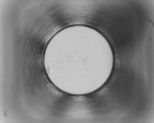 X0000103971129200810171918