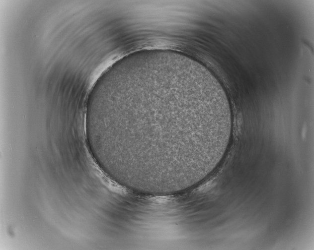 X0000103971130200810171918