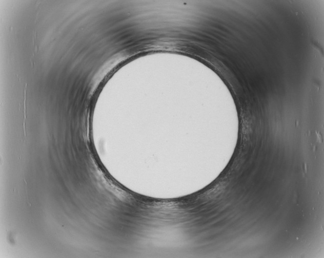 X0000103971131200810171918