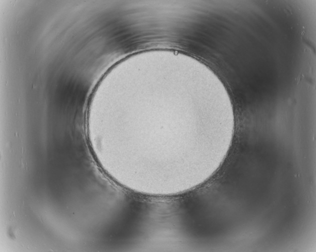 X0000103971132200810171918