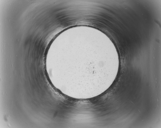 X0000103971133200810171918