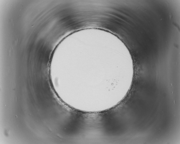 X0000103971134200810171918