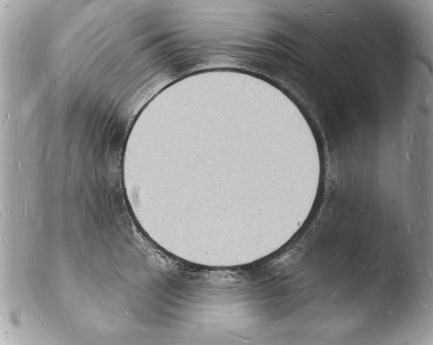 X0000103971137200810171918