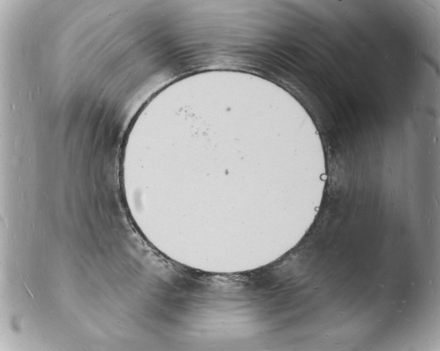 X0000103971138200810171918