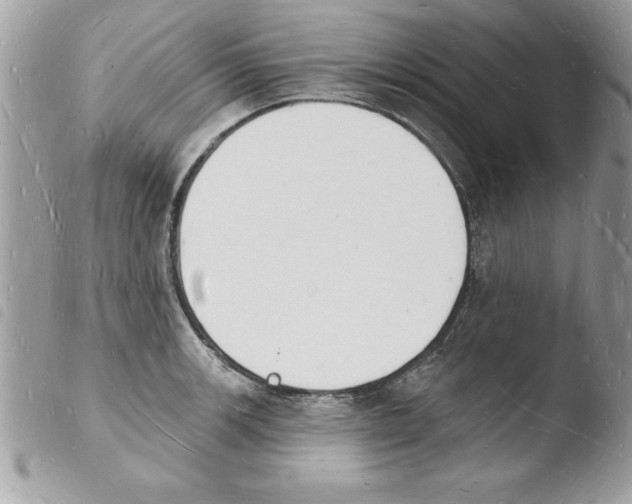 X0000103971139200810171918