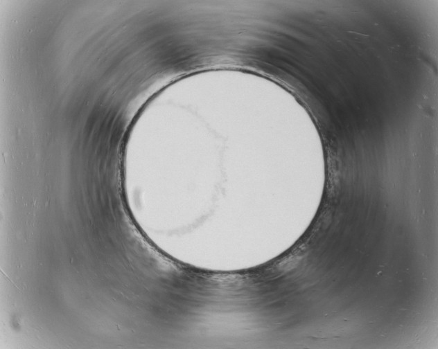 X0000103971142200810171918