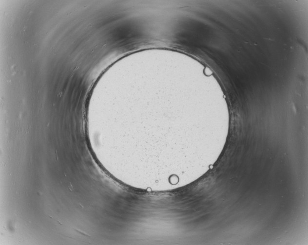 X0000103971143200810171918