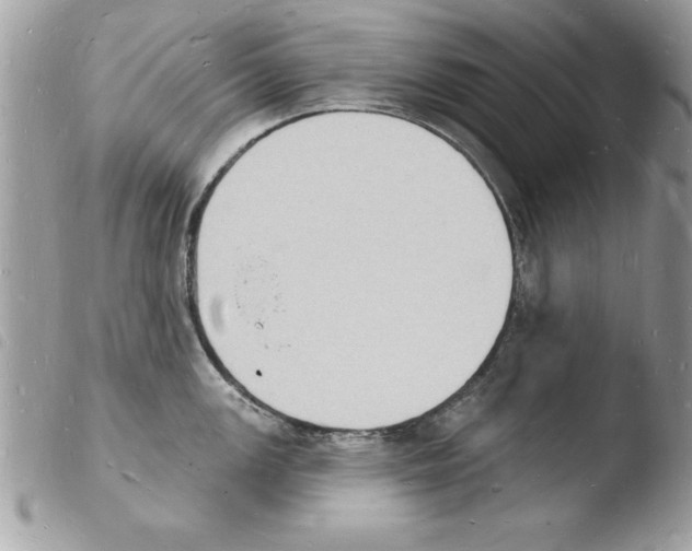 X0000103971147200810171919