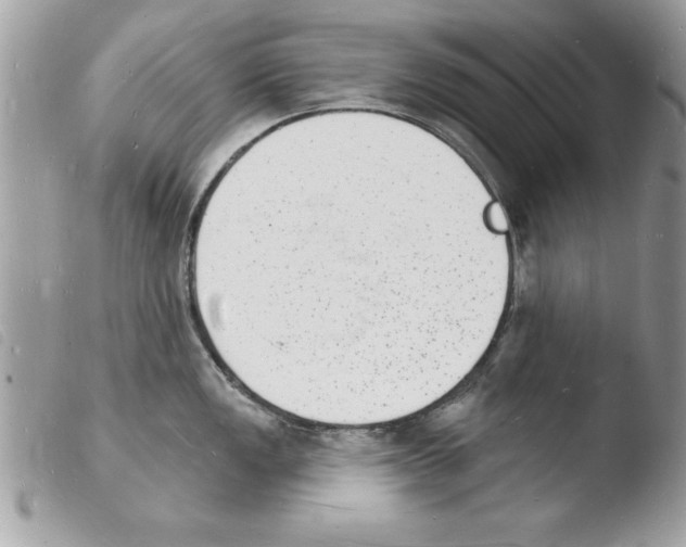 X0000103971149200810171919