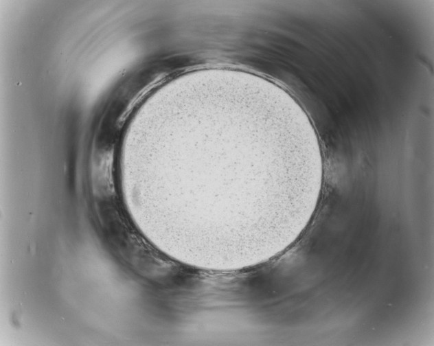 X0000103971150200810171919