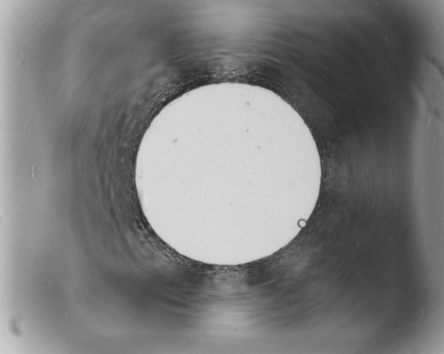 X0000103971153200810171918