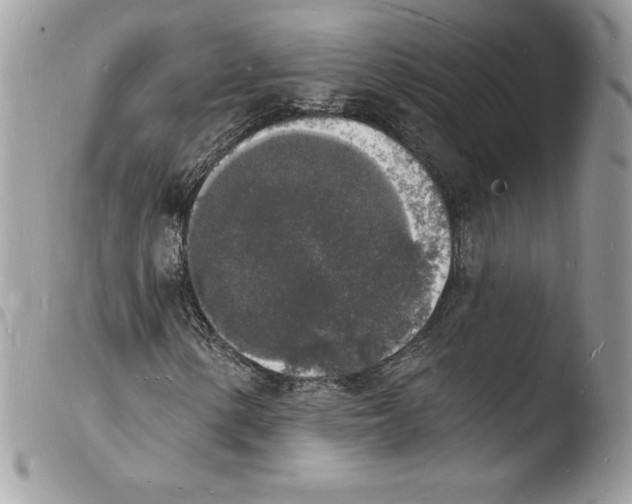 X0000103971154200810171918