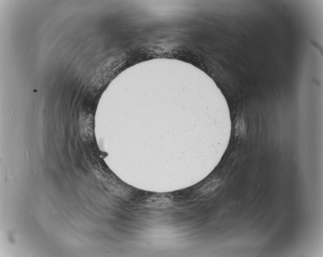 X0000103971156200810171918