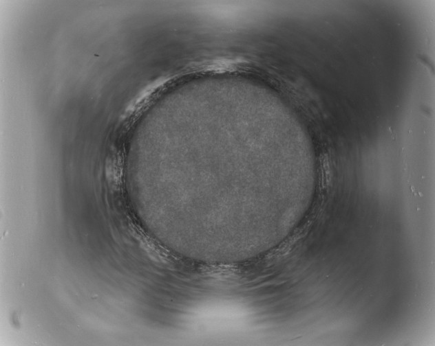 X0000103971158200810171918