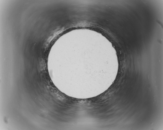 X0000103971160200810171918