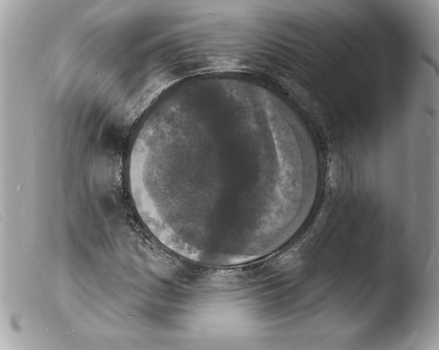 X0000103971161200810171918